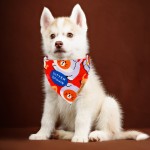 Customizable Pet Scarf Supplier - 2024 Cartoon Lipstick Polyester