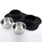 Dual Pet Bowl Manufacturer - Stainless Steel Plastic Antislip