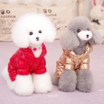 Waterproof Dog Coat Factory - Winter Windproof Warm Fleece Lining