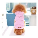 Winter Pet Jacket Factory - Classic Warm Double Buckle Design