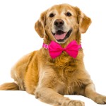 Adjustable Bow Tie Manufacturer - 18-Color Solid Small Dogs