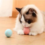 Electric Pet Toy Manufacturer - Durable Auto-Rolling Puppy Ball