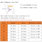 Luxury Dog Coat Supplier - Classic Style Leash Buckle Design