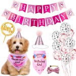 Dog Birthday Bandana Factory - Party Pull Flag Triangle Scarf