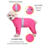 Dog Jumpsuit Manufacturer - Autumn Winter Soft Polar Fleece
