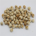 Coated Green Peas Factory - OEM Vegan Wasabi Flavor Fried Snack