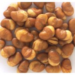 Salted Broad Beans Supplier - OEM Wholesale Price Bulk Snacks