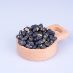 Black Bean Snacks Manufacturer - OEM Healthy Roasted Bean Foods