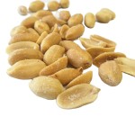 Salted Peanuts Supplier - OEM No Shell Bulk Packaging Retail