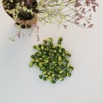 Green Peas Snacks Manufacturer - OEM Independent Packaging Original