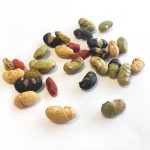 Roasted Soya Beans Mix Factory - OEM High Protein Salted Assorted