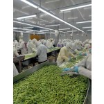 Roasted Edamame Beans Factory - OEM Salted Flavor Bulk Packaging
