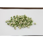 Crispy Green Peas Factory - OEM Quality Assured Snack