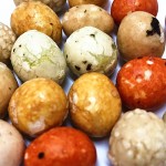 Mixed Peanuts Crackers Factory - OEM Japanese King Crispy Coated