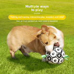 Training Ball Toy Factory - Eco-Friendly Pet Ball for Golden Retriever Labrador