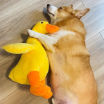 Little Yellow Duck Supplier - Eco-Friendly Vinyl Paper Toy for Relieving Puppy Boredom