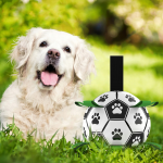 Training Ball Toy Factory - Eco-Friendly Pet Ball for Golden Retriever Labrador