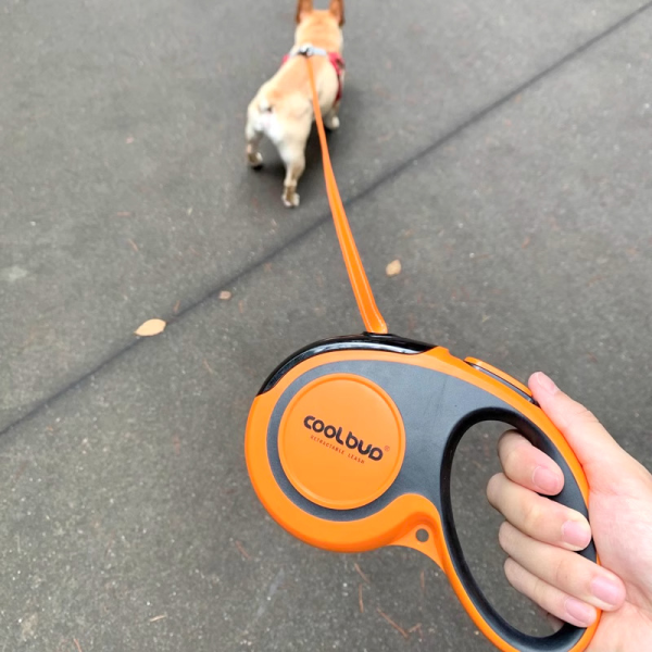 Retractable Dog Leash Factory - Automatic Heavy Duty Walking Rope Small Large Dogs