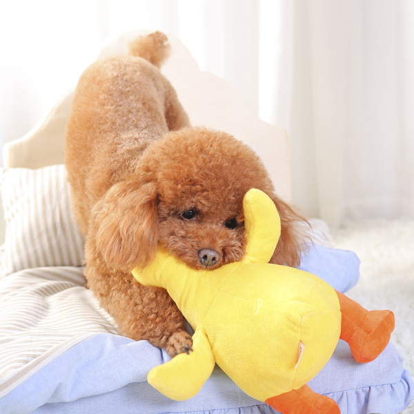 Little Yellow Duck Supplier - Eco-Friendly Vinyl Paper Toy for Relieving Puppy Boredom