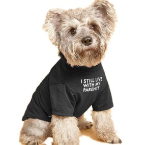 Dog T-Shirts Supplier - Summer Cooling Short Sleeve Pet Apparel Breathable Round Neck