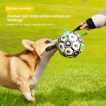 Training Ball Toy Factory - Eco-Friendly Pet Ball for Golden Retriever Labrador