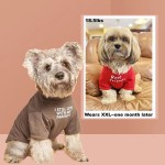 Dog Clothing Manufacturer - New Style Short-sleeved Round-neck T-shirt Four Seasons Universal
