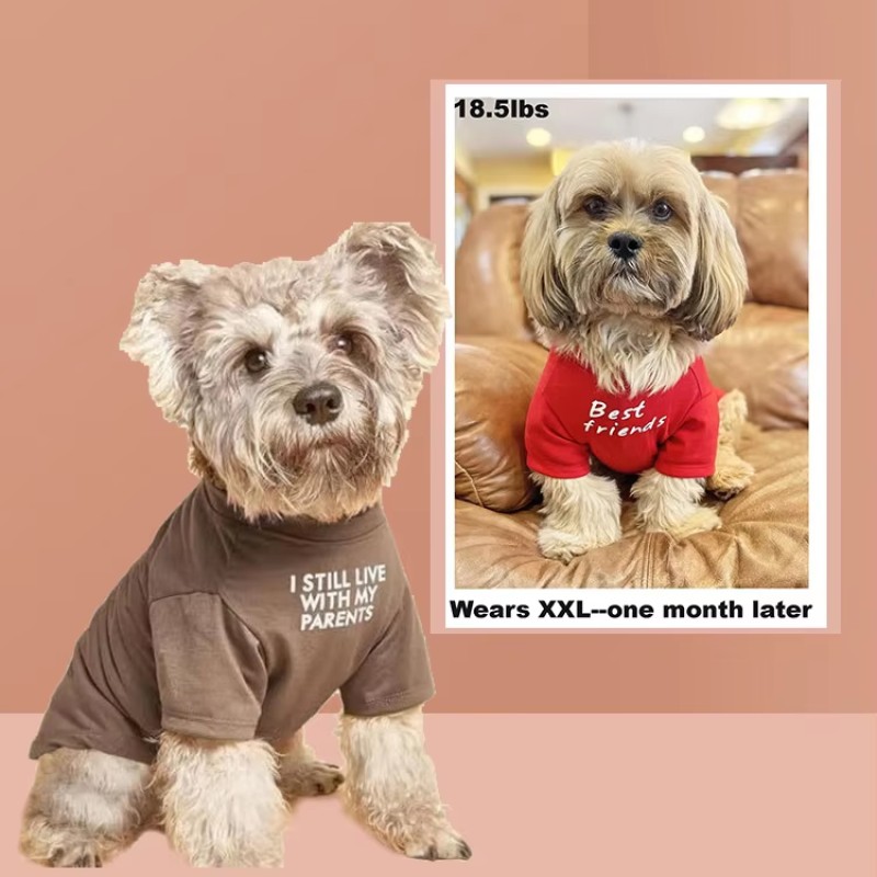 Dog Clothing Manufacturer - New Style Short-sleeved Round-neck T-shirt Four Seasons Universal