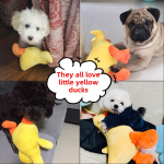 Little Yellow Duck Supplier - Eco-Friendly Vinyl Paper Toy for Relieving Puppy Boredom