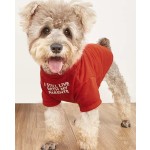 Stainless Steel Feeder Factory - Double Bowl Anti-Spill High Leg Neck Protection Dining