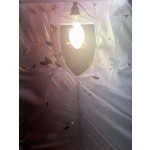 Insect Collection Tent Manufacturer - Outdoor Light Weight Aluminum Backbone Moth Trap