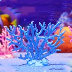 PVC Coral Manufacturer - Colorful Artificial Staghorn Non-Toxic Aquarium Decorations