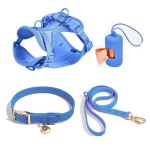 Dog Leash Set Supplier - PVC Upgraded Gold Buckle Adjustable Anti-bite Waterproof