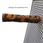 Wooden Gnawing Stick Manufacturer - Safe Eco-Friendly for Parrot Rabbit Molar Bird Guinea