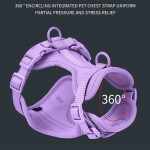 Dog Leash Set Supplier - PVC Upgraded Gold Buckle Adjustable Anti-bite Waterproof