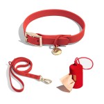 Pet Leash Collar Factory - Spot Dog Waterproof PVC Metal Buckle Dispenser Set Small Medium