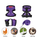 Pet Leash Factory - Chicken Duck Leash Comfortable Breathable Adjustable Various Colors