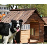 Pet Dog House Factory - Wholesale Factory Wooden Weatherproof Kennel Price List
