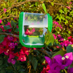 Mini Insect Box Supplier - 10x10x10cm Foldable Transparent for Children Education