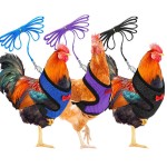 Pet Leash Factory - Chicken Duck Leash Comfortable Breathable Adjustable Various Colors