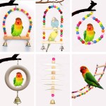 Bird Swing Factory - Colorful Swing Ladder Climbing Station Pole Cage Accessories