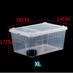 XL爬宠箱供应商-38x24x17CM蚕宝宝蜘蛛角蛙壁虎蜥蜴爬行宠物