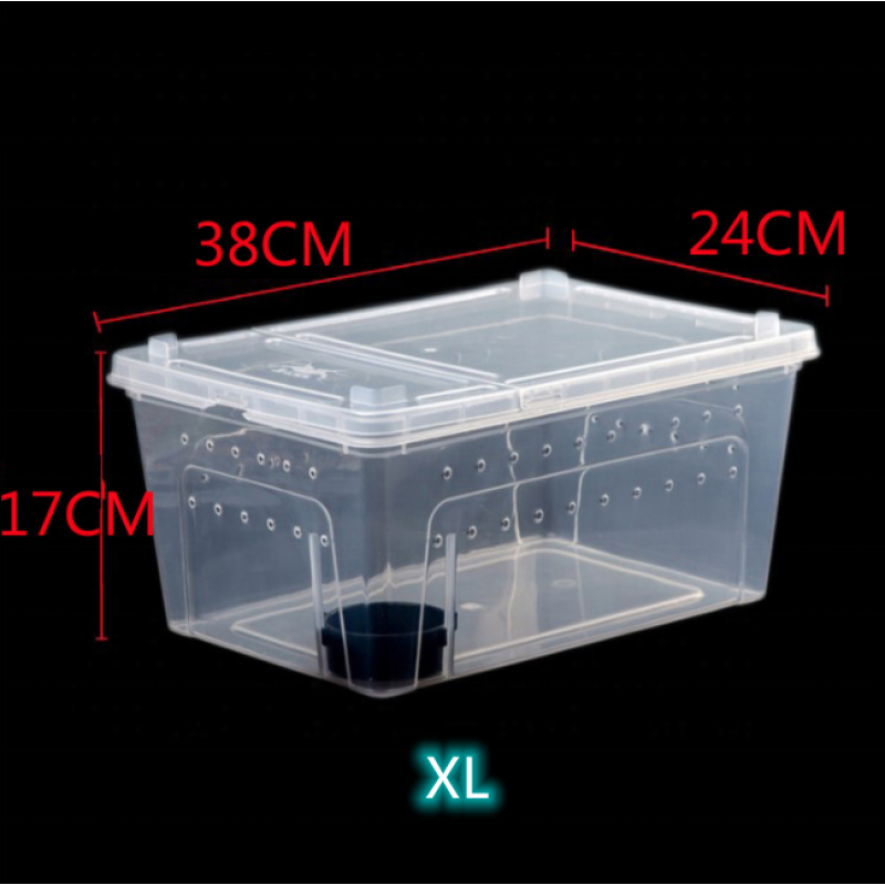XL Reptile Box Supplier - 38x24x17CM Silkworm Baby Spider Horned Frog Gecko Lizard