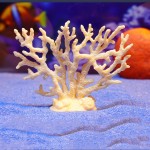 PVC Coral Manufacturer - Colorful Artificial Staghorn Non-Toxic Aquarium Decorations
