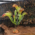 Reptile Plants Factory - Simulation Plant Breeding Box Tortoise Lizard Avoid Plants