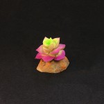 Succulent Plant Supplier - Potted Tabletop Decoration Reptile Box Artificial Green Plant