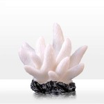Mini Coral Supplier - Artificial for Fish Tank Aquarium DIY Underwater Landscape