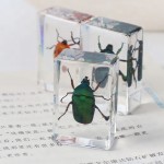 Resin Paperweight Manufacturer - 4.42.8cm Thin-Profile Real Bugs Encased Crystal