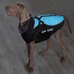 Waterproof Jacket Factory - Top Selling Oxford Cloth Outdoor Running Fall Winter Warm