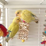 Bird Toy Supplier - Natural Wooden Nibbling Set Perching Supplies Chewing Beak Grinding