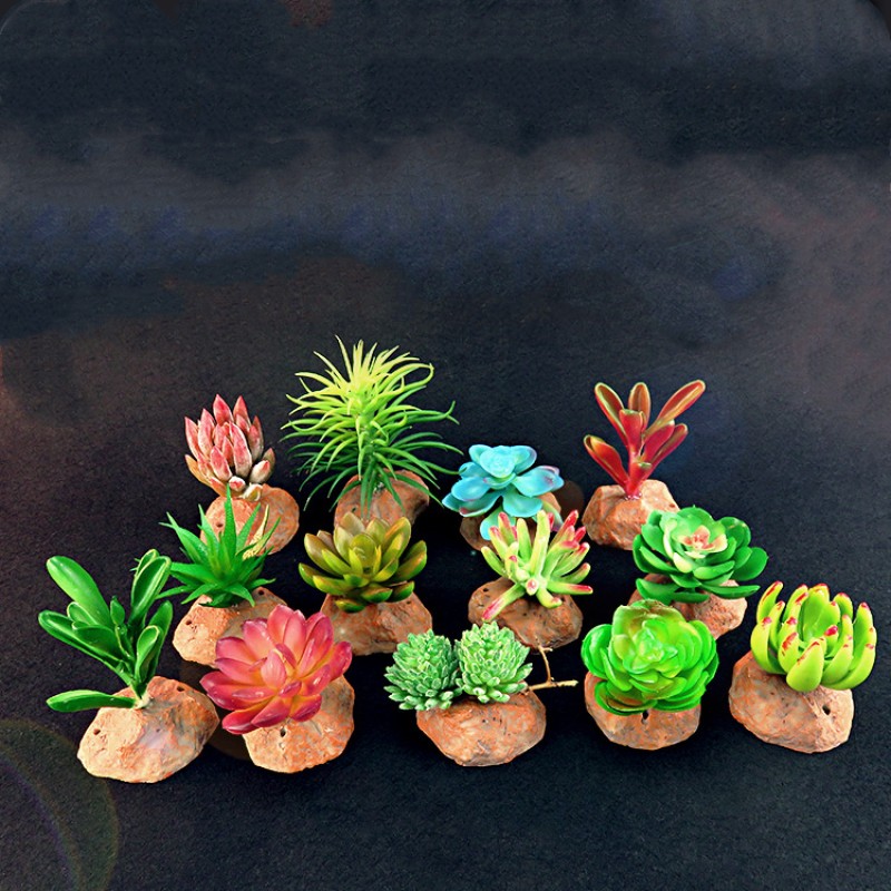 Succulent Plant Supplier - Potted Tabletop Decoration Reptile Box Artificial Green Plant